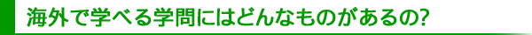 海外で学べる学問にはどんなものがあるの？
