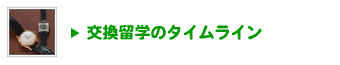 交換留学のタイムライン