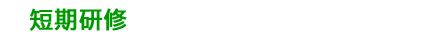 短期研修