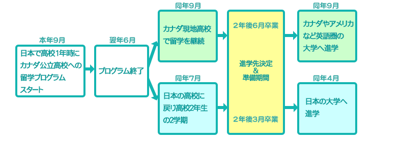 1年間留学の進路