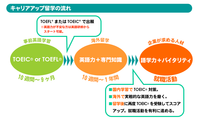 キャリアアップ留学の流れの図