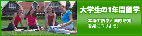 大学生の1年間留学：語学と国際感覚を身に着けよう！