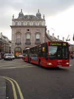 University College London