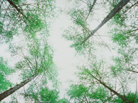 e-AIU〔国際教養大学（AO・一般）入試対策〕