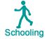 Schooling