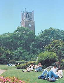 トフルゼミナールの早稲田国際教養AO対策コース