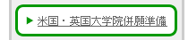 米国・英国大学院併願準備課程
