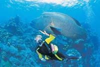 スキューバダイビング